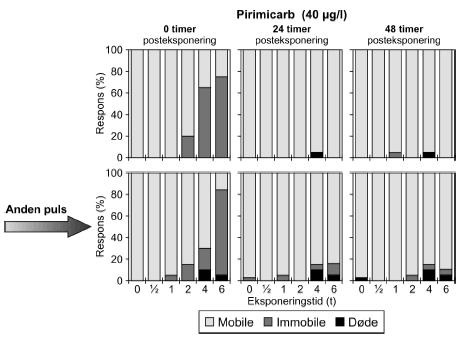 Figur 11: Fordelingen af Mobile, Immobile og Døde dafnier til tiderne t= 0, 24 og 48 timer efter gentagne pulseksponeringer med pirimicarb (40 μg/l)
