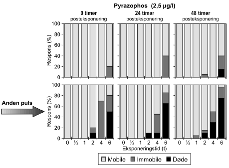 Figur 14: Fordelingen af Mobile, Immobile og Døde dafnier til tiderne t= 0, 24 og 48 timer efter gentagne pulseksponeringer med pyrazophos (2,5 μg/l)