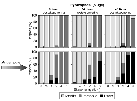 Figur 15: Fordelingen af Mobile, Immobile og Døde dafnier til tiderne t= 0, 24 og 48 timer efter gentagne pulseksponeringer med pyrazophos (5 μg/l)