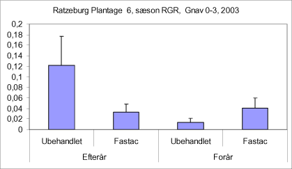 Figur 39. Effekten af plantetidspunkt samt pyrethroidbehandling. Lokalitet: Ratzeburg Plantage afd. 6. Træart: RGR. Ipyrethroidbehandling med Alpha-Cypermethrin, (Fastac). Arealet er et stormfaldsareal uden overstandere. Der er plantet i planterille på arealet. Forsøget anlagt i efteråret 2002 og i foråret 2003 - opgørelse af gnav efter skalaen 0-3 i efteråret 2003. Bemærk at alle gnavskader er under 0,2 på en skala fra 0-3. Dette er et lavt skadetryk.