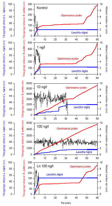 Figur 3.15. Eksempler på rovdyr-byttedyrs-interaktioner mellem L. nigra og G. pulex under samtidig eksponering for lambda-cyhalothrin