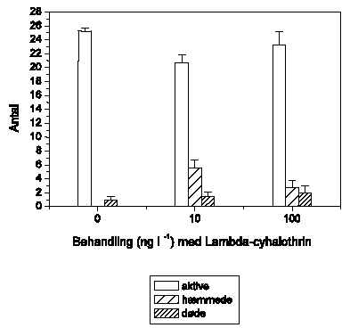 Figur 3.36. Tilstanden af Gammarus pulex fanget i drift/indsamlet efter forsøget i render eksponeret for ørredlugt og behandlet med 10 og 100 ng l<sup>-1</sup> lambda-cyhalothrin samt kontrol (0). Alle individer blev visuelt klassificeret til at være normalt aktive (aktive), udvise reduceret mobilitet (hæmmede) eller være døde. Hver behandling og kontrol havde 4 replikater. Figuren viser gennemsnit og standard error for de 4 render i hver gruppe