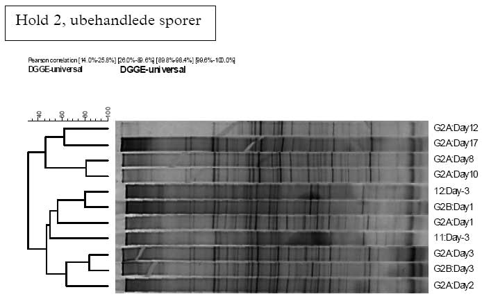 1.7 DGGE data fra B. cereus forsøget