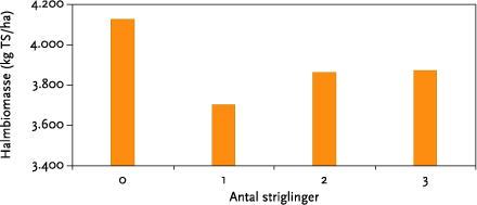 Figur 5.11. Halmudbytte ved et stigende antal striglinger. Estimerede middelværdier over mark og år.