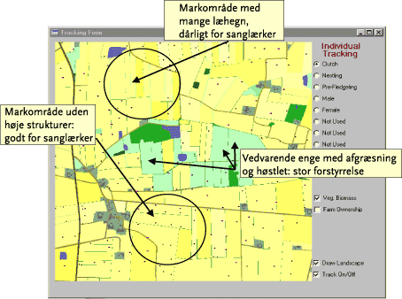 Figur 7. Eksempel på modellens indplacering af lærkepar og reder (blå og røde prikker) i et udsnit af værkstedsområdet. Forskellige tætheder i udvalgte delområder er angivet med pile.