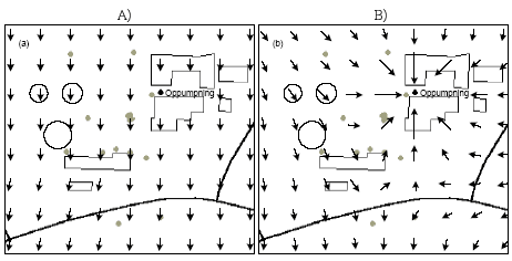 Fig. 5.10. Numerisk beregnede grundvandsstrømningsforhold (a) baggrund, (b) Under forceret udvaskning. Pile angiver retning og relativ strømningshastighed.