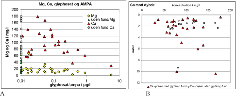 Figur 3.15 A - Glyphosat og AMPAkoncentration mod Mg og Caindhold. Der er anvendt den maksimale glyphosat/AMPAkoncentration i den enkelte vandprøve. B – Cakoncentration i prøver med/uden fund af glyphosat mod prøvedybde.