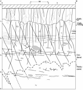 Figur 6 Tværprofil fra Højstrup, hvor forskellige enheder af morænen er opmålt, læg mærke til den fissile zone i ca. 2 meters dybde. Fra Klint, 2004.