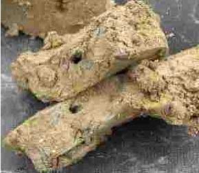 Foto: moræneler fra hb1, 1,8 mut, med åbentstående biopore. Prøven er brækket over og snittet er lodret. Læg mærke til at den oprindelige rodkanal har fulgt en zone i moræneleret med større indhold af mellemkornet sand.