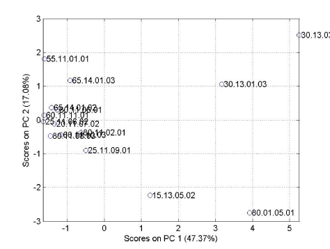 Figur 2 Score plot.