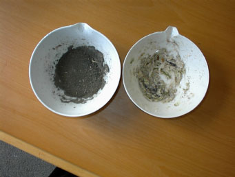 Figur 13: Aske fra hhv. ubehandlet CCA affaldstræ (venstre) og fra Watech behandlet affaldstræ (højre).