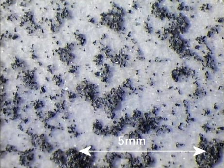 Figur 6.1 billede af frafiltrerede støvpartikler på filterpapir fra udvaskningsforsøg med infill 14, stor skala
