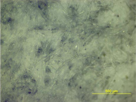 Figur 6.4 billede af frafiltrerede partikler på filterpapir fra udvaskningsforsøg med infill 15, forstørret