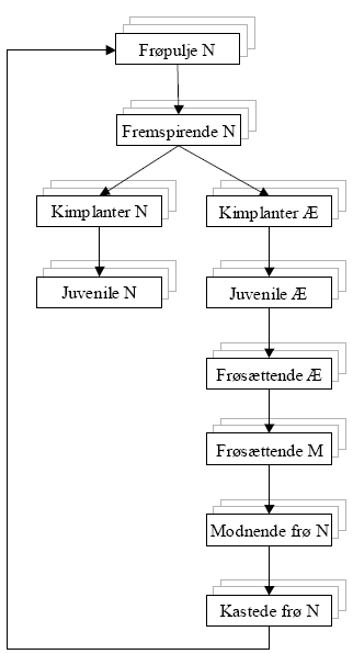 Figur 2.2. Livscyklusmodellen i FieldWeeds