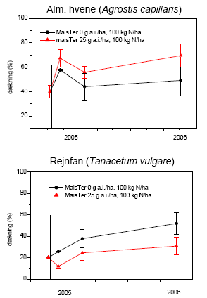 Figur 3.36. Dækningen af tre udvalgte arter efter behandling med MaisTer (25 g as./ha) i forhold til ubehandlet; begge gødet med 100 kg N/ha. Den vertikale linie angiver behandlingstidspunktet. Punkter viser gns.±s.e.