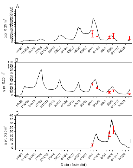 Figur 3.41. Sammenligning imellem simuleringer (linier) og punktobservationer (gns.±s.e.) af vækst af fåresvingel (A), alm. hvene (B) og kvik (C) ved årlig behandling med 12 g glyphosat pr. ha.