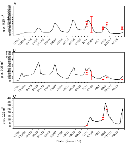 Figur 3.42. Sammenligning imellem simuleringer (linier) og punktobservationer (gns.±s.e.) af vækst af fåresvingel (A), alm. hvene (B) og kvik (C) ved årlig behandling med 61 g glyphosat pr. ha.