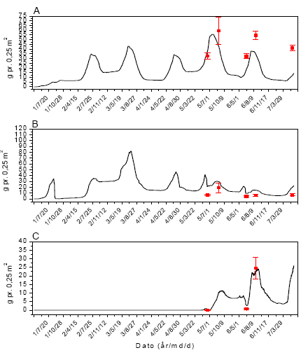 Figur 3.43. Sammenligning imellem simuleringer (linier) og punktobservationer (gns.±s.e.) af vækst af fåresvingel (A), alm. hvene (B) og kvik (C) ved årlig behandling med 306 g glyphosat pr. ha.