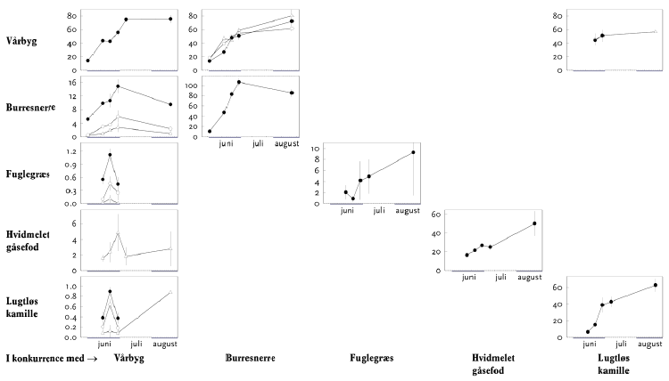 Figur 3.5. Vækst af afgrøde og ukrudt i vårbyg 2005. I rækkerne vises hver plantearts vækst gennem sæsonen enten alene (diagonalt) eller i konkurrence med afgrøden. Ukrudt i høj (?·), mellem (o) eller lav tæthed (r) jf. tabel 3.4. Overjordisk tørvægt (g pr. 0,1 m²) vist som gns.±s.e.