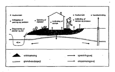Figur 4.3. En jord- og grundvandsforurenings sprednings- og eksponeringsveje