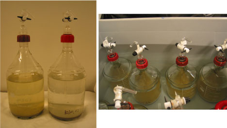Figur 6.3: Eksempel på testflasker med sediment og grundvand. T.h. er vist testflasker nedsænket i sulfitholdigt vandbad, fra /5/.