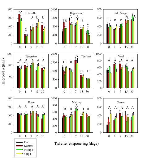 Figur 3.1.3. Klorofyl-a koncentrationer i gruskopper udlagt i vandløb 28 dage før eksponeringsdagen (dag 0), hvor en 90 min eksponering for 0, 0,5 eller 5 µg lambda-cyhalothrin l-¹ blev foretaget i transportable strømrender, inden gruskopperne blev lagt tilbage i åerne. Gruskopper blev indsamlet umiddelbart inden eksponeringen samt 1, 7, 15 og 30 dage efter eksponeringen, og klorofylkoncentrationen blev registreret. Ingen effekt af eksponering blev observeret. Klorofyl-a koncentrationerne på indsamlingsdage med forskellige bogstaver er signifikant forskellige. (Gennemsnit±SEM, n=6).
