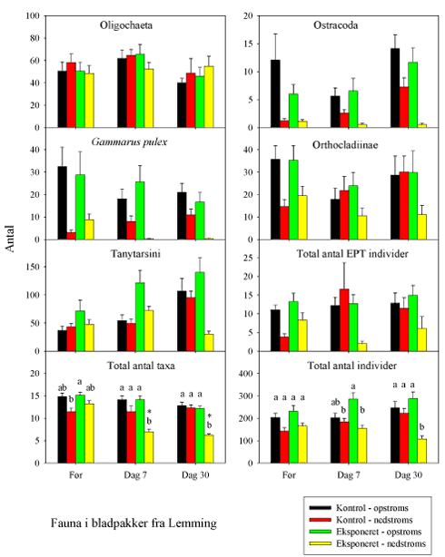 Fig. 3.1.12. Fauna i bladpakkerne fra de store strømrender i Lemming. Det totale antal taxa, det totale antal individer, samt individantallet for udvalgte arter/taxa forekommende i mindst 75% (=135 prøver) af prøverne med et samlet individantal i alle prøver på mindst 1000 individer. Eksponerede render blev på dag 0 udsat for en 90 min eksponering for 5 µg lambda-cyhalothrin l-¹. Statistisk analyse blev kun udført for det totale antal taxa og det totale antal individer. Bogstaver angiver forskellene mellem de fire sektioner inden for samme prøvetagningsdag, således at sektioner, der ingen bogstaver har tilfælles, er signifikant forskellige. En asterisk angiver en signifikant forskel i forhold til Før-prøverne (dag 0) fra samme sektion. (Gennemsnit±SEM, n=15).