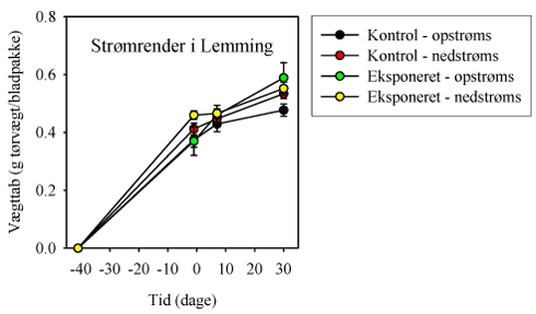 Fig. 3.1.13. Vægttab fra pakker af bøgeblade udlagt i de store strømrender i Lemming 41 dage før eksponeringsdagen (dag 0), hvor en 90 min eksponering for 0 eller 5 µg lambda-cyhalothrin l-¹ blev foretaget. Bladpakker blev indsamlet dagen inden eksponering, samt 7 og 30 dage efter eksponering, og vægttabet blev registreret. (Gennemsnit±SEM, n=15).