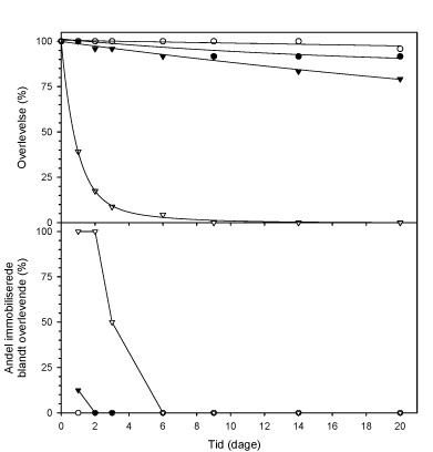 Figur 3.2.6. Overlevelse og andel af immobiliserede individer blandt overlevende G. pulex gennem en 20-dages restitueringsperiode i ukontamineret vand efter endt eksponering for lambda-cyhalothrin. Lukkede cirkler: kontrolgruppe; åbne cirkler: 0,01 µg l-¹; lukkede trekanter: 0,1 µg l-¹; åbne trekanter: 1 µg l-¹. (n(dag 0)=24).
