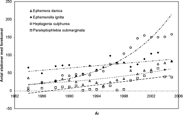 Figur 3.3.2. Udviklingen i udbredelse af udvalgte makroinvertebrater – her døgnfluer – i fynske vandløb 1984-2005. Der er undersøgt stort set samme antal stationer igennem hele perioden.