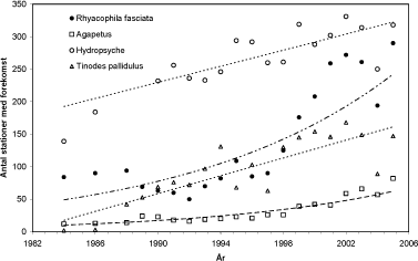 Figur 3.3.4. Udviklingen i udbredelse af udvalgte makroinvertebrater – her 4 taxa af vårfluer – i fynske vandløb 1984-2005. Der er undersøgt stort set samme antal stationer igennem hele perioden. Agapetus omfatter hver to arter med forskellig udbredelse, mens Hydropsyche omfatter 4 arter også med forskellig udbredelse og habitatkrav.